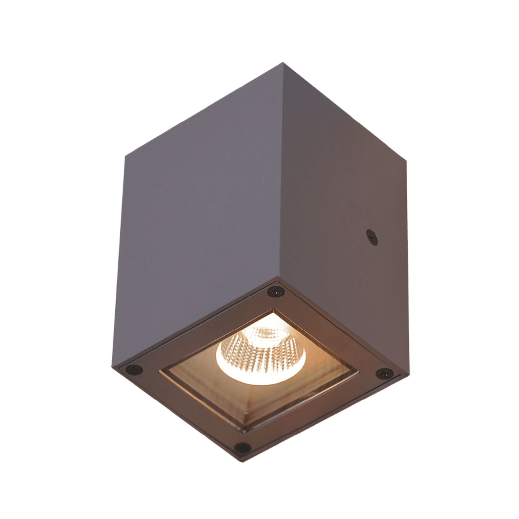 LED Wall Mounted Light - EST-R7AG0226